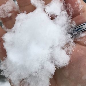 Meet your Posher, Dawn